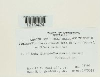 Image Associated With the Occurrence