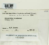 Image Associated With the Occurrence