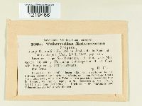 Image Associated With the Occurrence