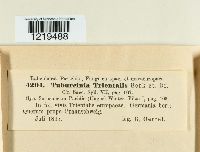 thumbnail image of current specimen