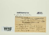 Image Associated With the Occurrence