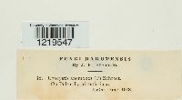 thumbnail image of current specimen