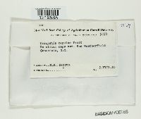 Image Associated With the Occurrence