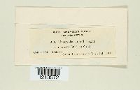 Image Associated With the Occurrence