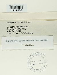 Image Associated With the Occurrence