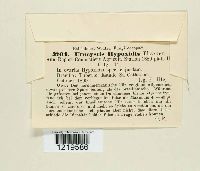 Image Associated With the Occurrence