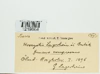 Image Associated With the Occurrence