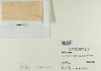 Media resource of Ustilago nuda