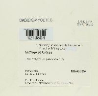 Ustilago utriculosa image