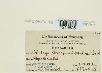 Image Associated With the Occurrence