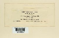 Image Associated With the Occurrence