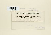 Image Associated With the Occurrence