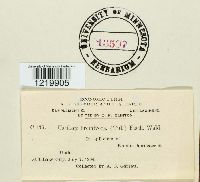 Image Associated With the Occurrence