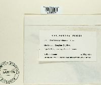 Image Associated With the Occurrence