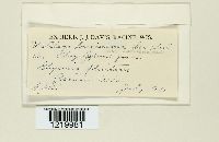 thumbnail image of current specimen