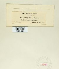 Image Associated With the Occurrence