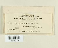 Image Associated With the Occurrence