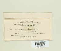 Image Associated With the Occurrence