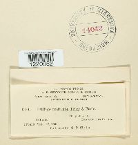 Image Associated With the Occurrence