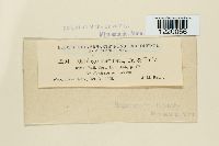 Image Associated With the Occurrence