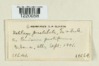 Image Associated With the Occurrence