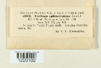 Image Associated With the Occurrence