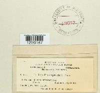 Image Associated With the Occurrence