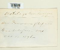 Image Associated With the Occurrence