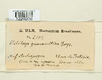 Image Associated With the Occurrence