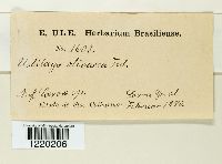 Image Associated With the Occurrence