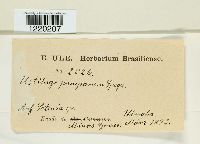 Image Associated With the Occurrence