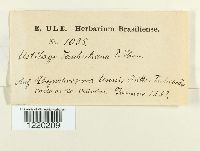 Image Associated With the Occurrence