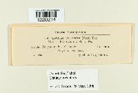 Image Associated With the Occurrence