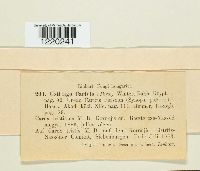 Image Associated With the Occurrence