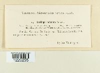 Image Associated With the Occurrence