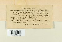 Image Associated With the Occurrence