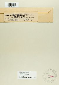 Image Associated With the Occurrence