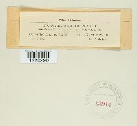 thumbnail image of current specimen