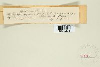 Image Associated With the Occurrence