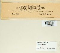 Image Associated With the Occurrence