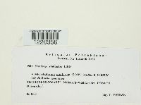 Image Associated With the Occurrence