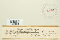 Image Associated With the Occurrence