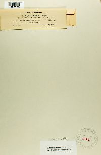 Image Associated With the Occurrence