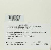 Image Associated With the Occurrence