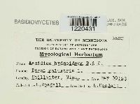 Image Associated With the Occurrence