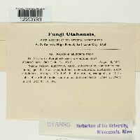 Image Associated With the Occurrence