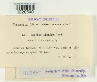 Image Associated With the Occurrence