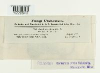 Image Associated With the Occurrence