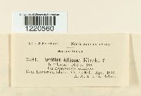 Image Associated With the Occurrence