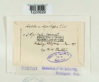 Aecidium aquilegiae image